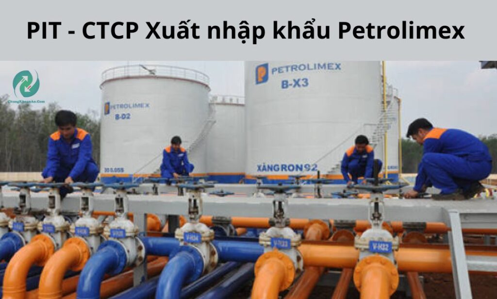 mã cổ phiếu CTCP Xuất nhập khẩu Petrolimex 